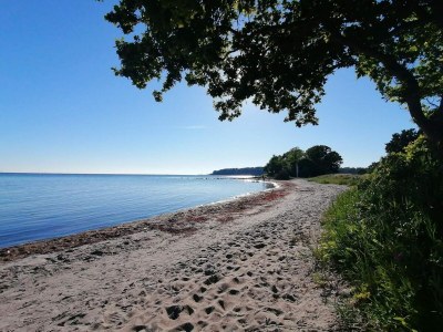 Holiday house 8 person holiday home in Nysted-By Traum - Outdoor photo 34