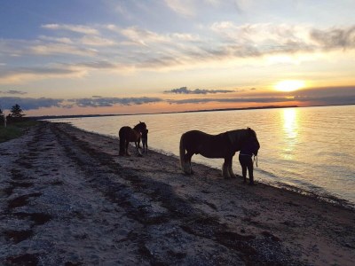 Holiday house Luxury Retreat with Pool - By Traum Ferienwohnungen - Outdoor photo 10