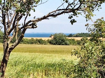 Holiday house Luxury Retreat with Pool - By Traum Ferienwohnungen - Outdoor photo 16