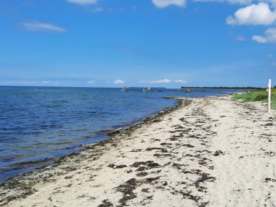 Holiday house Luxury Retreat with Pool - By Traum Ferienwohnungen - Outdoor photo 19