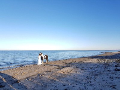Holiday house Luxury Retreat with Pool - By Traum Ferienwohnungen - Outdoor photo 30