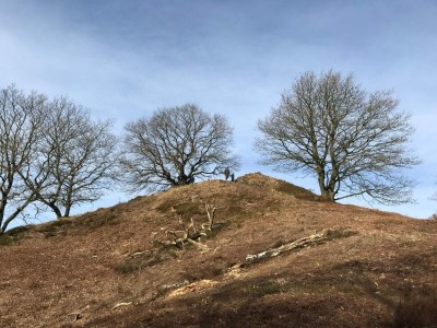 Holiday house 8 Personen Ferienhaus in Gjern-By Traum - Outdoor photo 27