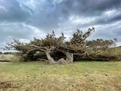 Holiday house Luxury Beach Retreat - By Traum Ferienwohnungen - Outdoor photo 20