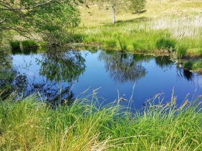 Holiday house Luxury Beach Retreat - By Traum Ferienwohnungen - Outdoor photo 31