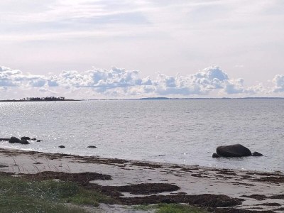 Holiday house 5 person holiday home in Jægerspris-By Traum - Outdoor photo 19