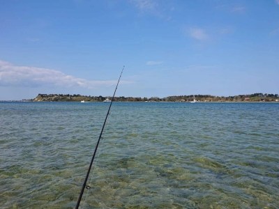 Holiday house 5 person holiday home in Jægerspris-By Traum - Outdoor photo 23