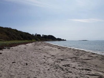 Holiday house 5 person holiday home in Jægerspris-By Traum - Outdoor photo 25