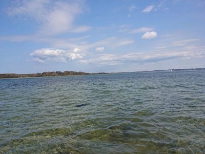 Holiday house 5 person holiday home in Jægerspris-By Traum - Outdoor photo 26