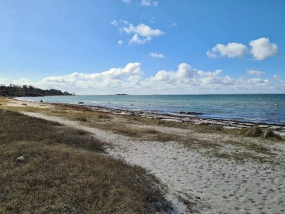 Holiday house 5 person holiday home in Jægerspris-By Traum - Outdoor photo 27