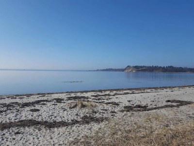 Holiday house 5 person holiday home in Jægerspris-By Traum - Outdoor photo 29