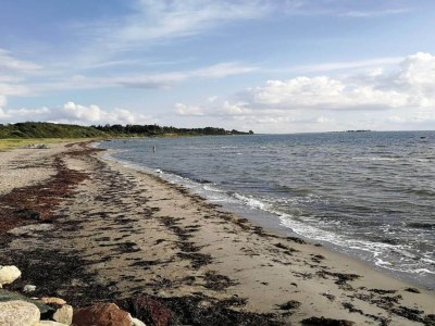 Holiday house 5 person holiday home in Jægerspris-By Traum - Outdoor photo 32