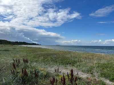 Holiday house 5 person holiday home in Jægerspris-By Traum - Outdoor photo 38