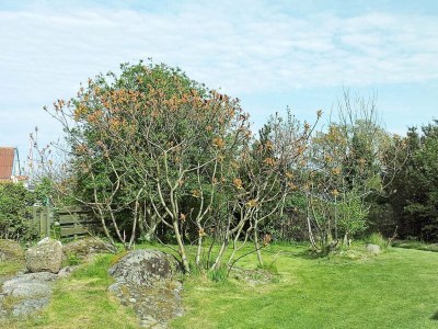 Holiday house 4 Personen Ferienhaus in Allinge-By Traum - Outdoor photo 5