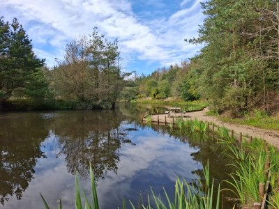 Holiday house Luxury Retreat with Pool - By Traum Ferienwohnungen - Outdoor photo 19