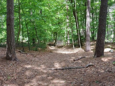 Holiday house Luxury Retreat with Pool - By Traum Ferienwohnungen - Outdoor photo 28