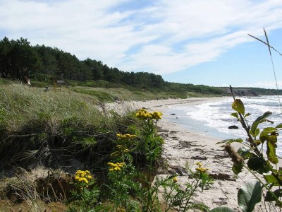 Holiday house Seaside Panorama in Hasle - By Traum Ferienwohnungen - Outdoor photo 7