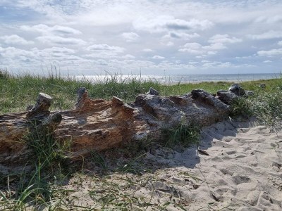 Holiday house 8 Personen Ferienhaus in Blåvand - Outdoor photo 34