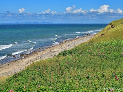 Holiday house Luxury Pool Villa in Dronningmolle - By Traum Ferienwohnungen - Outdoor photo 22