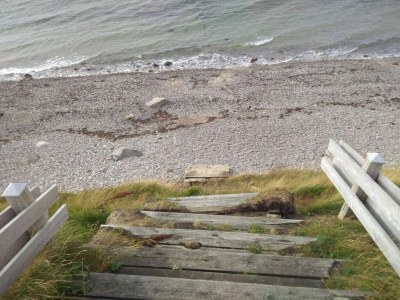 Holiday house Luxury Pool Villa in Dronningmolle - By Traum Ferienwohnungen - Outdoor photo 38