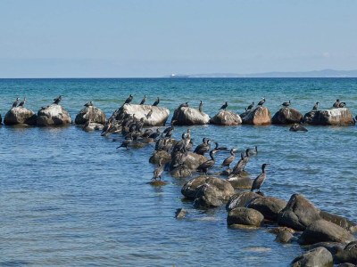 Holiday house Luxury Pool Villa in Dronningmolle - By Traum Ferienwohnungen - Outdoor photo 41