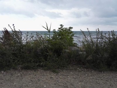 Holiday house Luxury Wellness Retreat - By Traum Ferienwohnungen - Outdoor photo 16