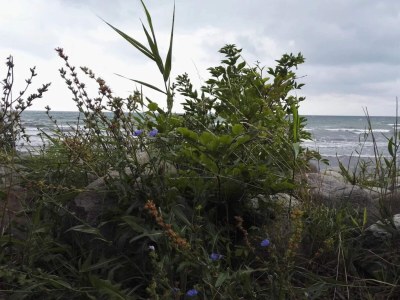 Holiday house Luxury Wellness Retreat - By Traum Ferienwohnungen - Outdoor photo 22