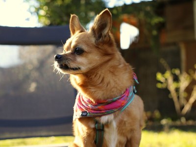 Holiday house At the Lay - Outdoor photo 12