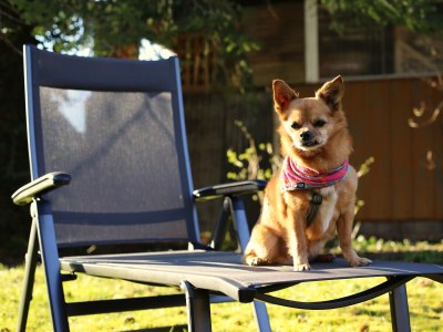 Holiday house At the Lay - Outdoor photo 14