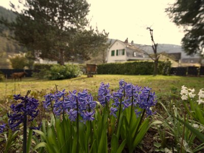 Holiday house At the Lay - Outdoor photo 21