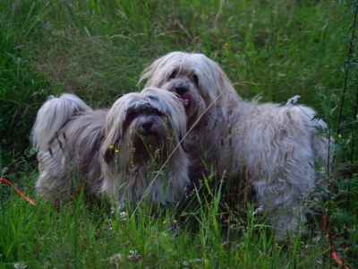 Holiday house At the Lay - Environment photo 28