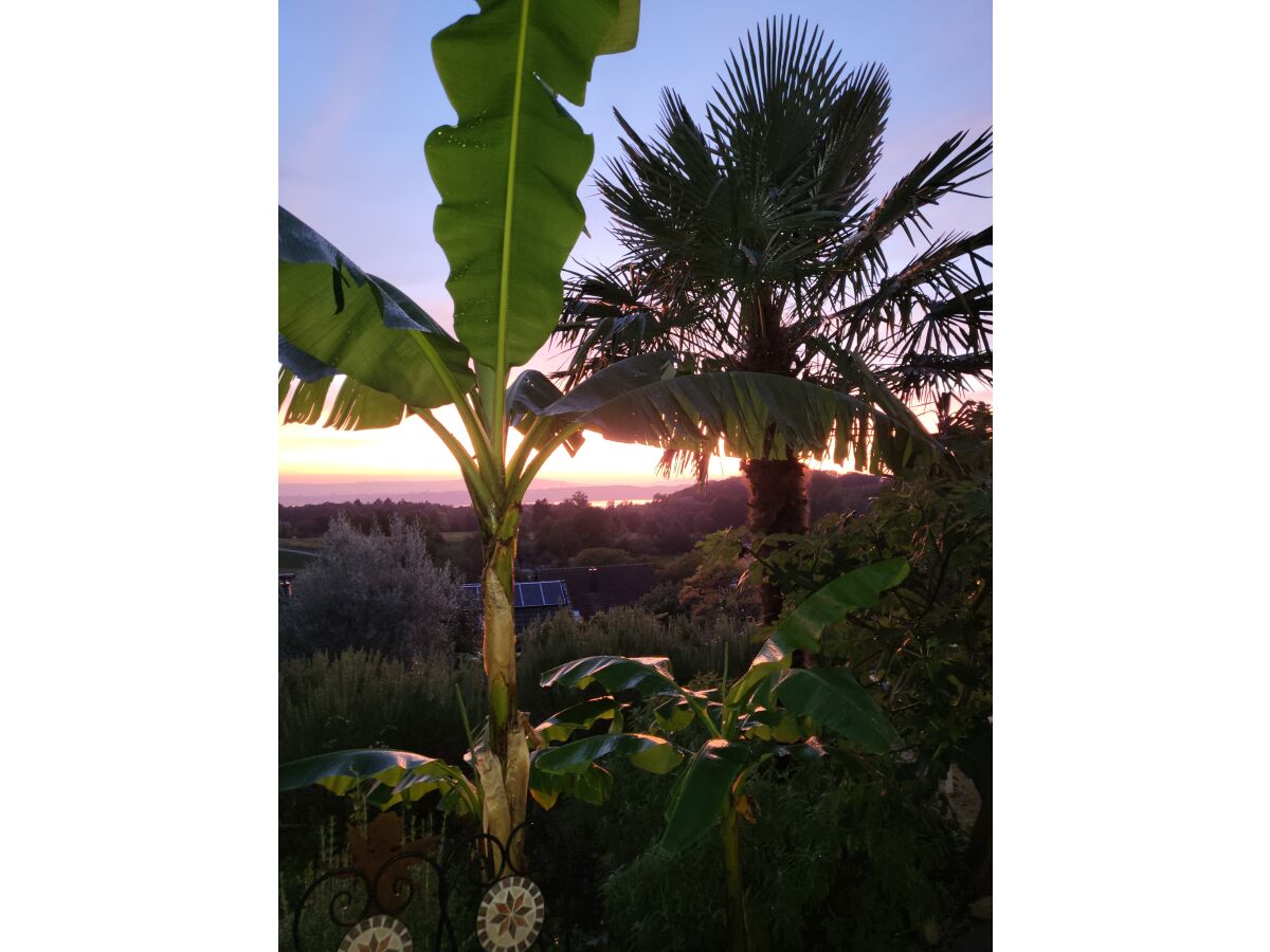 Holiday apartment 1 - Villa Sonnenschein - Outdoor photo 5