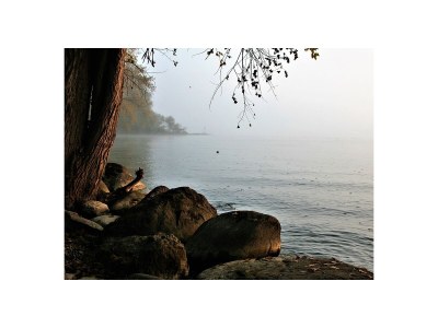 Holiday apartment 1 - Villa Sonnenschein - Environment photo 20