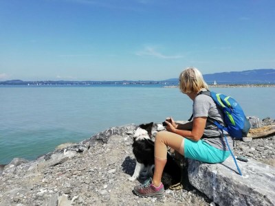 Holiday apartment 1 - Villa Sonnenschein - Environment photo 22