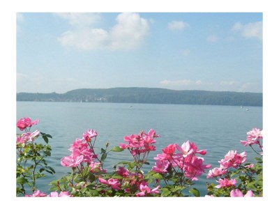 Holiday apartment 1 - Villa Sonnenschein - Environment photo 23