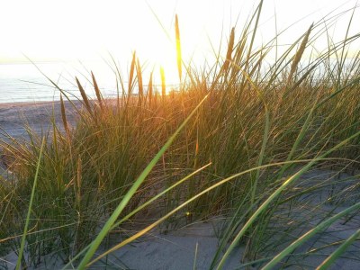 Holiday house 6 Personen Ferienhaus in Hirtshals-By Traum - Outdoor photo 17
