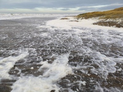Holiday house 6 Personen Ferienhaus in Hirtshals-By Traum - Outdoor photo 29