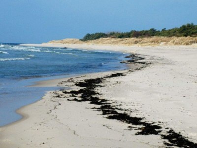 Holiday house Modernes Refugium mit Spa -- By Traum Ferienwohnungen - Outdoor photo 18