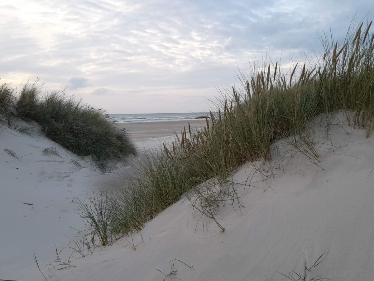 Holiday house 6 person holiday home in Saltum-By Traum - Outdoor photo 4