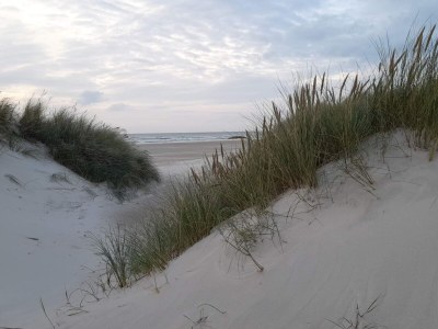 Holiday house 6 person holiday home in Saltum-By Traum - Outdoor photo 4