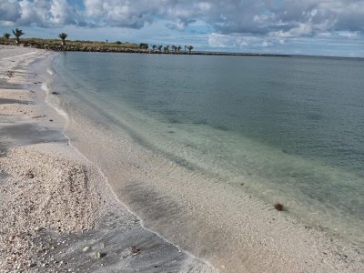 Holiday house 6 person holiday home in Saltum-By Traum - Outdoor photo 8