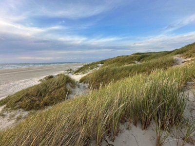 Holiday house 6 person holiday home in Saltum-By Traum - Outdoor photo 19