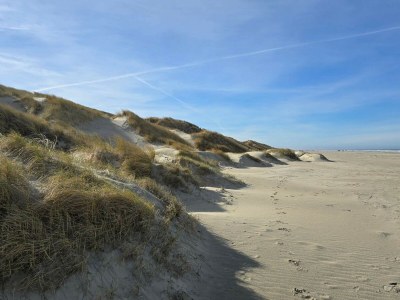 Holiday house 6 person holiday home in Saltum-By Traum - Outdoor photo 36