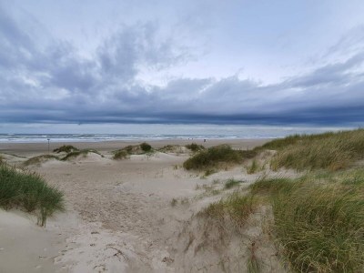 Holiday house 6 person holiday home in Saltum-By Traum - Outdoor photo 37