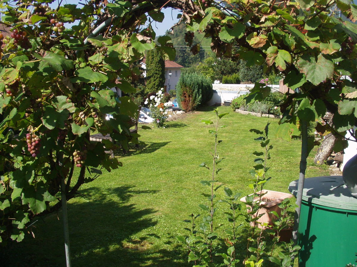 Apartment Christina im Haus Blütengarten - Outdoor photo 4