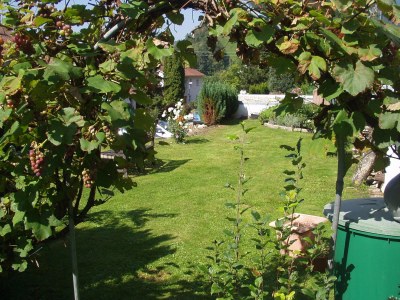 Apartment Christina im Haus Blütengarten - Outdoor photo 4