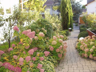 Apartment Christina im Haus Blütengarten - Outdoor photo 6
