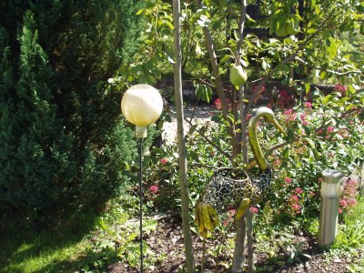 Apartment Christina im Haus Blütengarten - Outdoor photo 9