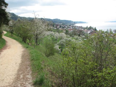 Apartment Christina im Haus Blütengarten - Environment photo 16