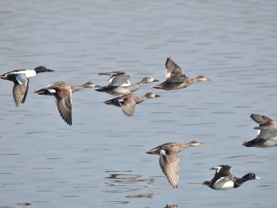 Apartment Christina im Haus Blütengarten - Environment photo 19