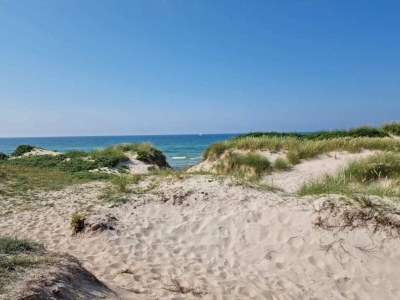 Holiday house Luxury Retreat with Pool - By Traum Ferienwohnungen - Outdoor photo 31